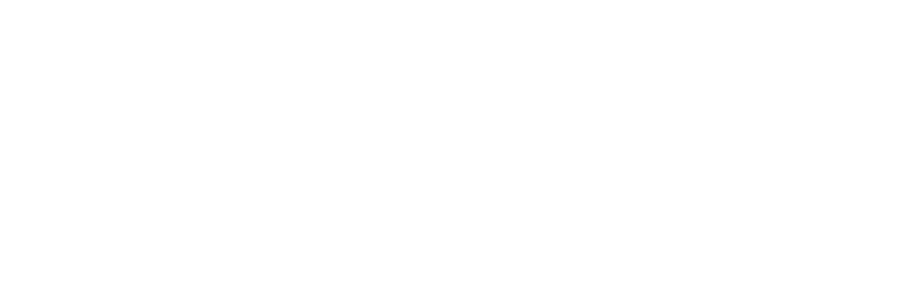 CINE 81